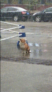 front2_0_96622_FvqcUVgxk09qARGCw6lxw9OcL3kC.1635728144_08_55_47.gif