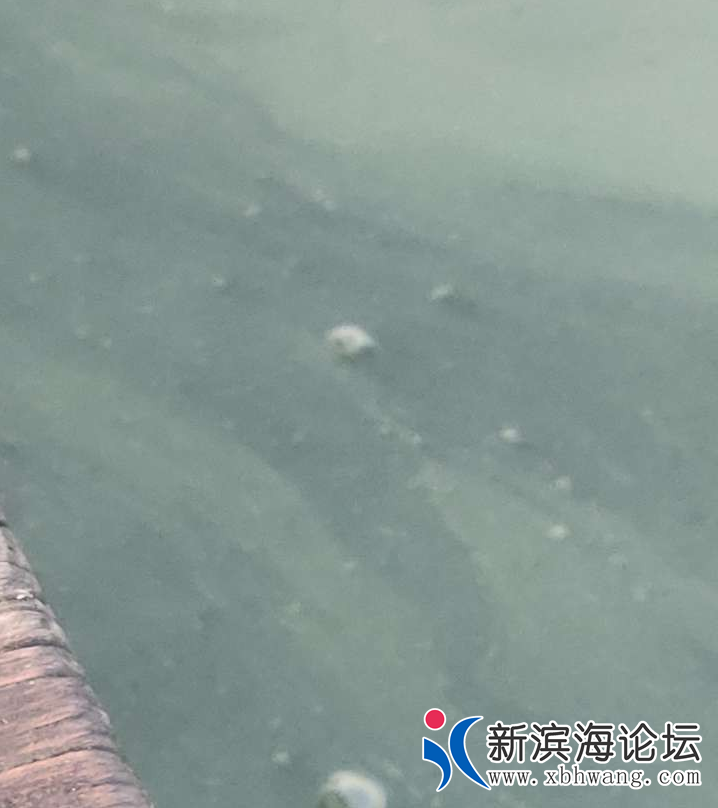 QQ浏览器截图20211126103644.png