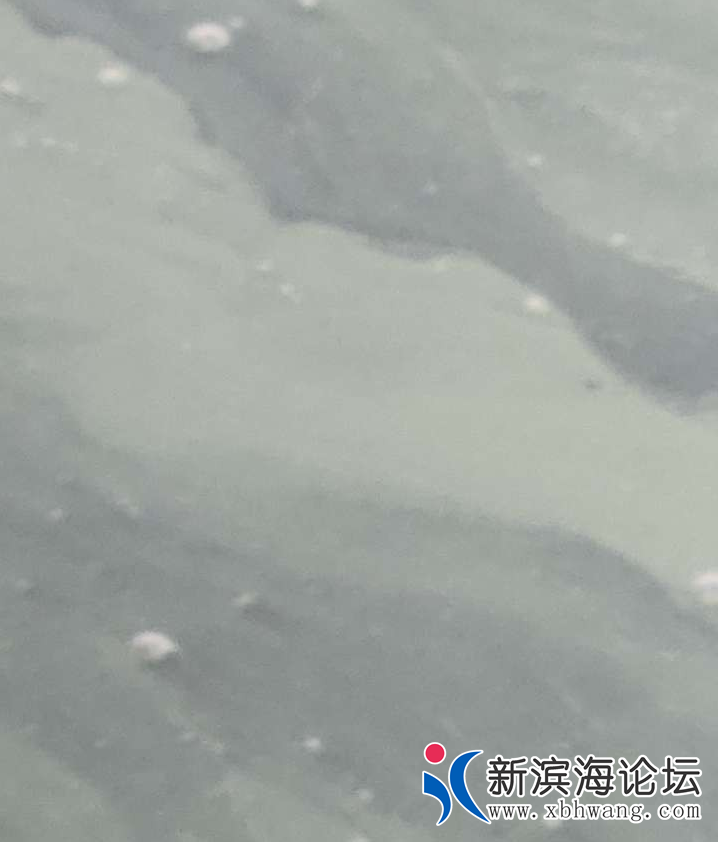 QQ浏览器截图20211126103657.png