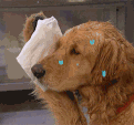 20220126221920front2_0_96622_FquTULklgVgKKLQcQ4E06I3zzOzK.gif