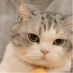 20220129085123front2_0_96622_FvG0S8lVhaxoBqIm2WvevT_x12XR.gif