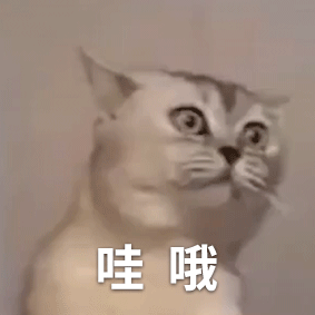 20220304202356front2_0_96622_FpJKMo62KaJimF46_Gx8cFlNiPKC.gif