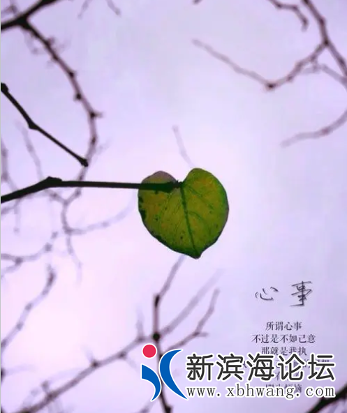 QQ截图20220308163029.png