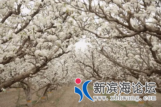 u=3056529975,1632750302&amp;fm=253&amp;fmt=auto&amp;app=138&amp;f=JPEG.png