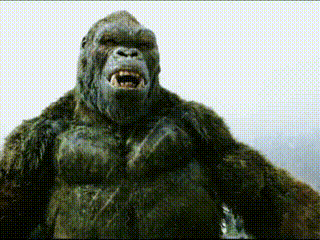 20220418155448front2_0_96622_FjMXQtWuvsdXm0NIv94S5WfjffQW.gif