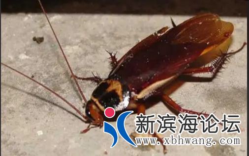 QQ截图20220728170917.png