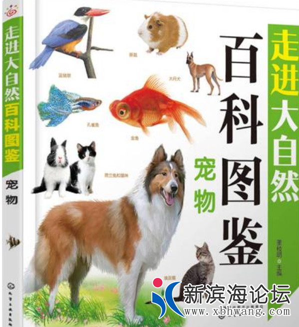 QQ截图20220810170233.png