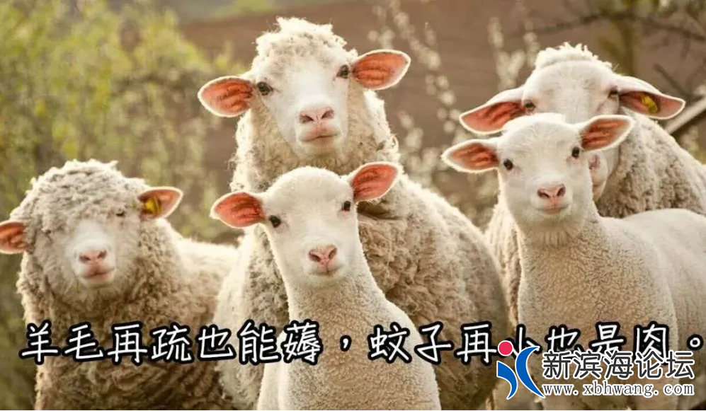 QQ浏览器截图20220814165958.png