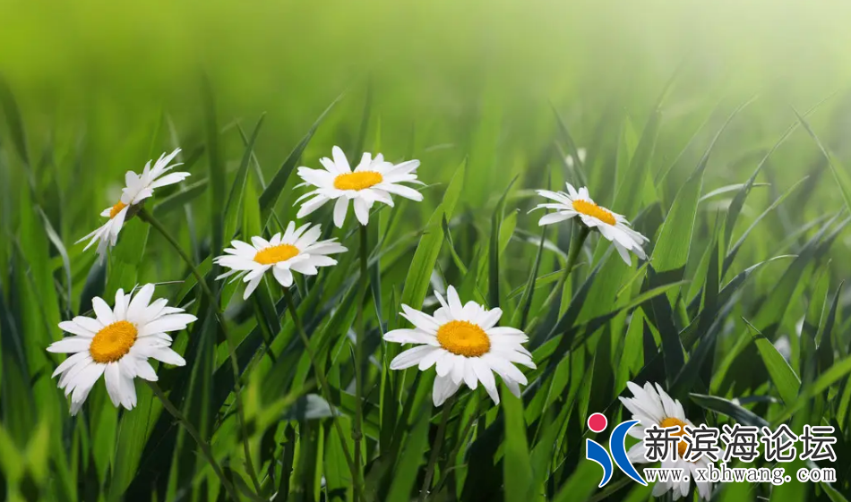QQ浏览器截图20221009162454.png
