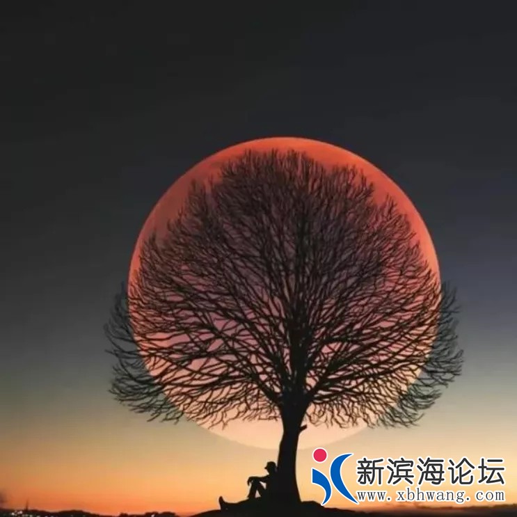 20230318054719front2_0_57516_FszwBkfdYzWIYO_kgVbuDCsPNoWU.png