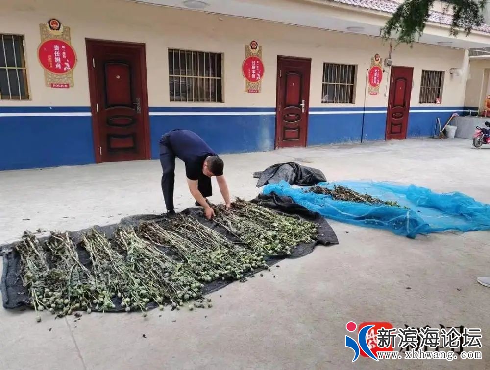 微信图片_20230528090256.jpg
