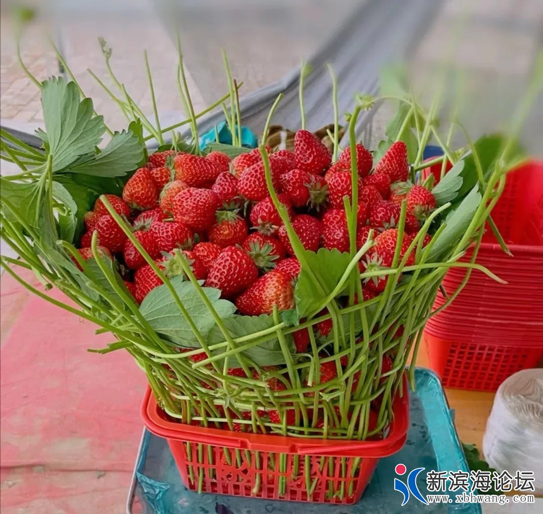 20240306075319front2_0_57516_Fu3D2_2eB4U9c6Q9y8m789Qmbo-B.jpg