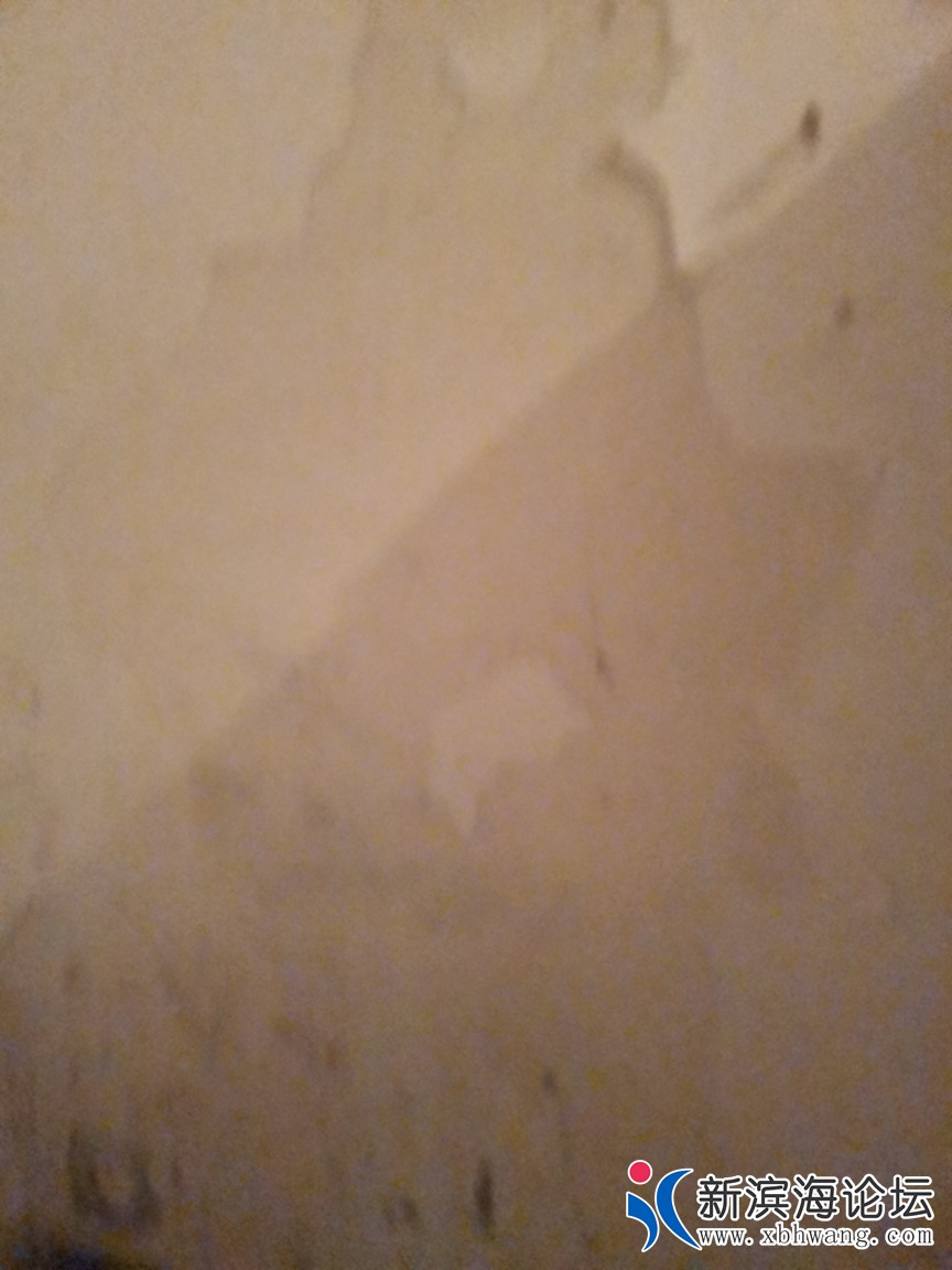 20240904194211front2_0_53840_FvMnfgmLvfF0HM_zVfLAscCZAApg.jpg